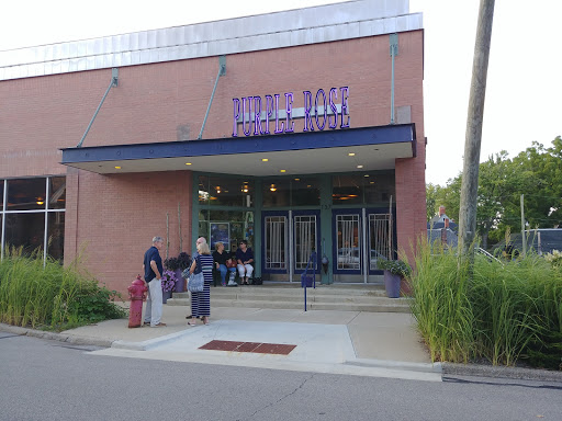 Performing Arts Theater «Purple Rose Theatre Company», reviews and photos, 137 Park St, Chelsea, MI 48118, USA