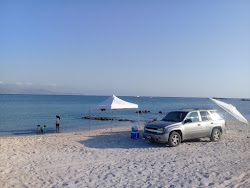 Foto von Playa Pulguero Tepetates befindet sich in natürlicher umgebung