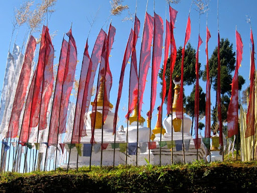 Tour Agency «Himalayan Dreams», reviews and photos, 6185 Rainier Ave, Rocklin, CA 95677, USA