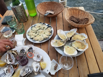 Ostréisud - Dégustation d'Huitres de Bouzigues à Loupian