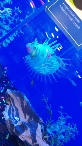 Pet Supply Store «PetSmart», reviews and photos, 1600 Marcus Ave, New Hyde Park, NY 11040, USA