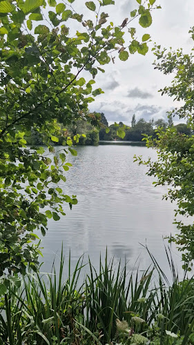 Etang du mesqueau à Plougasnou