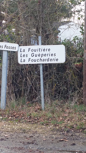 Bois buche Giteau à Mozé-sur-Louet