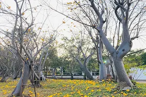 Phu Lon Public Park image