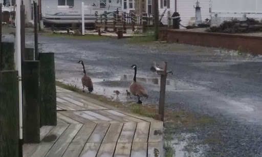 Plumber «Long Neck Plumbing & Heating», reviews and photos, 25844 North Cherry Street, Millsboro, DE 19966, USA