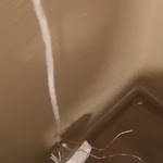 Photo n°1 de l'avis de Logi.e fait le 24/09/2019 à 07:45 sur le  Poseidon Hotel & Restaurant in Bayreuth à Bayreuth