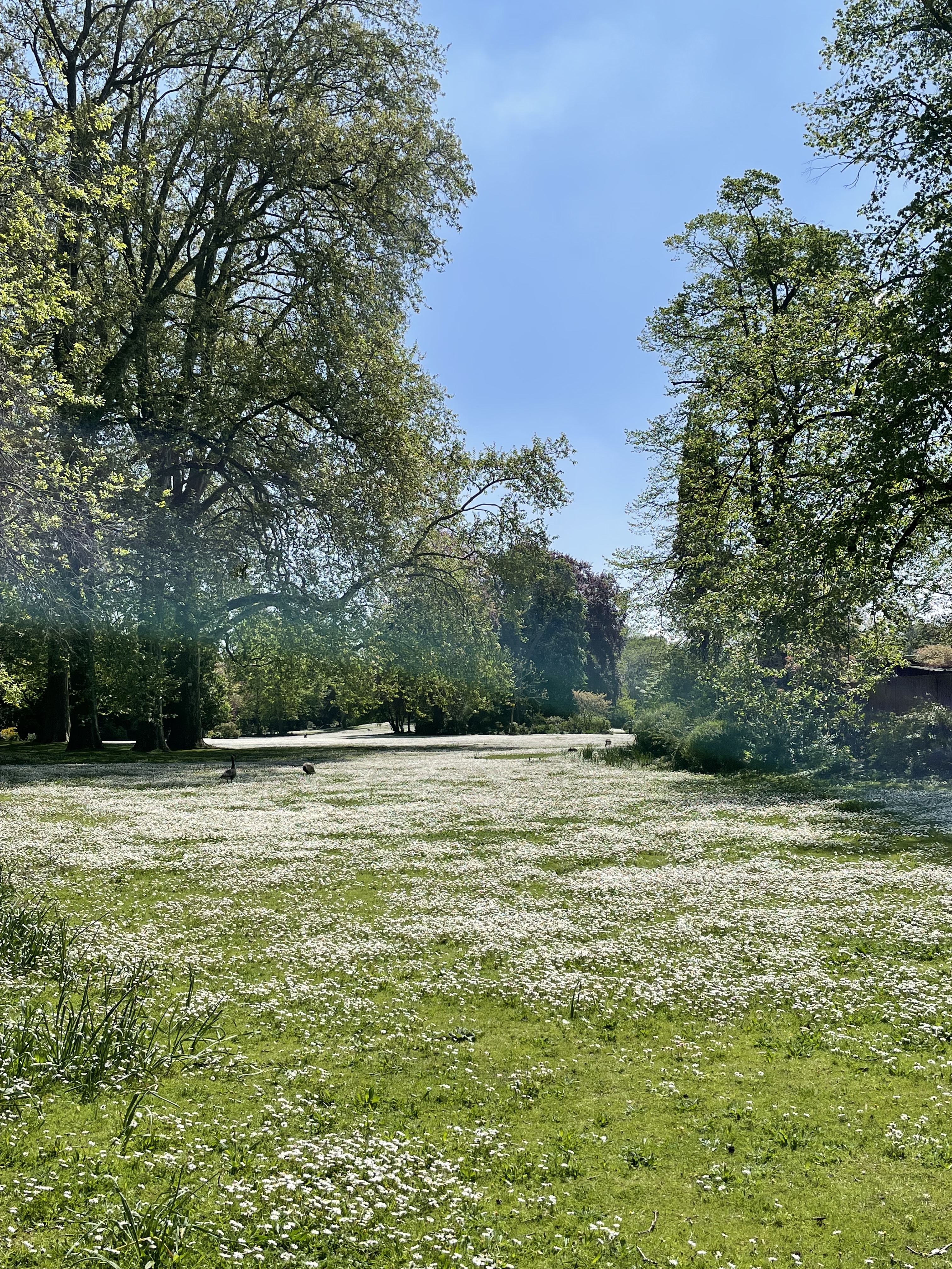 Photo n° 1 de l'avis de Clau.o fait le 02/05/2023 à 16:08