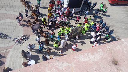 CECAF Centro de esterilización canina y felina