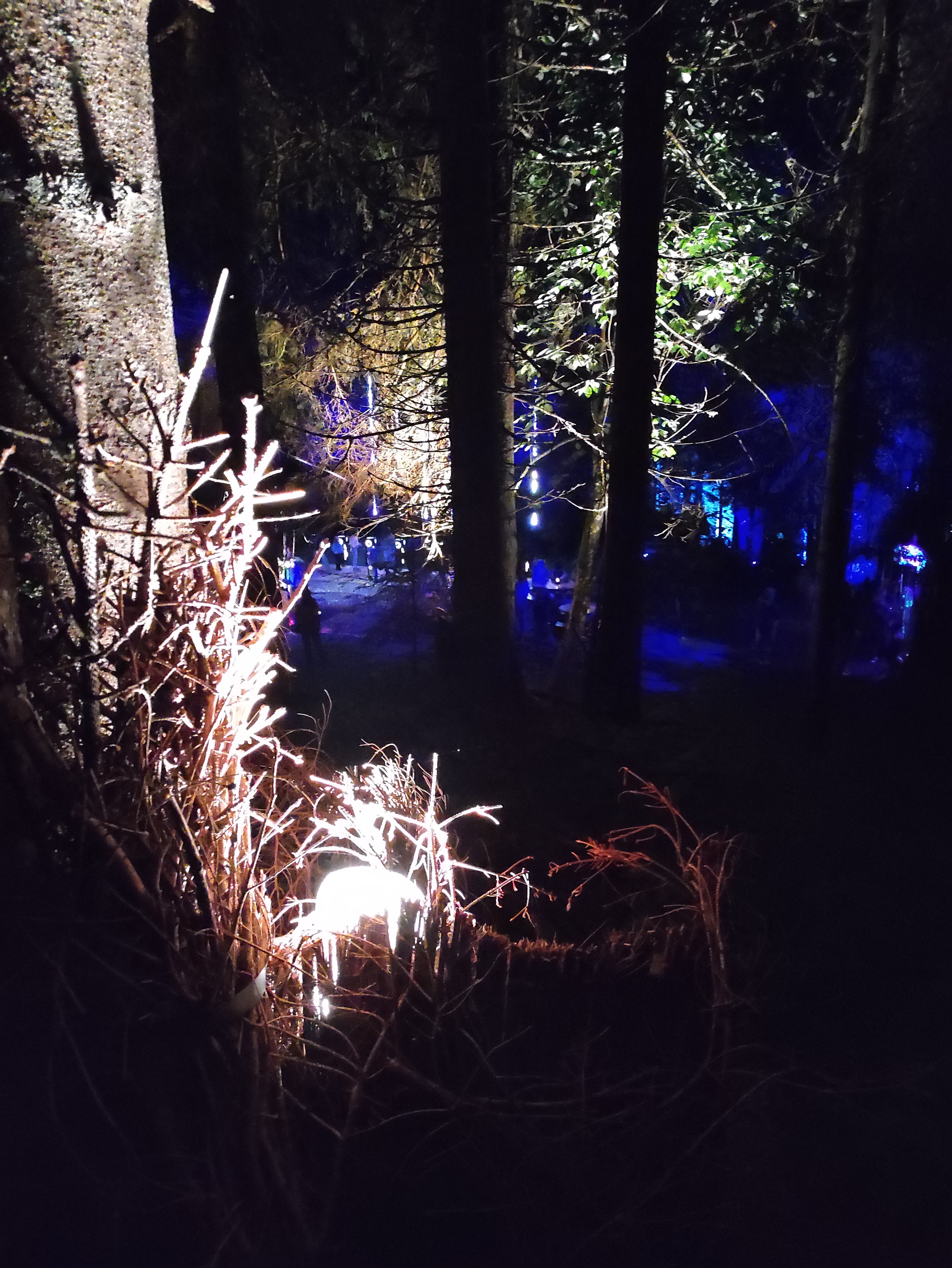 Photo n° 4 de l'avis de Jérémy.a fait le 05/08/2021 à 21:01
