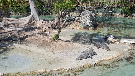 Aquarium «Miami Seaquarium», reviews and photos, 4400 Rickenbacker Causeway, Key Biscayne, FL 33149, USA