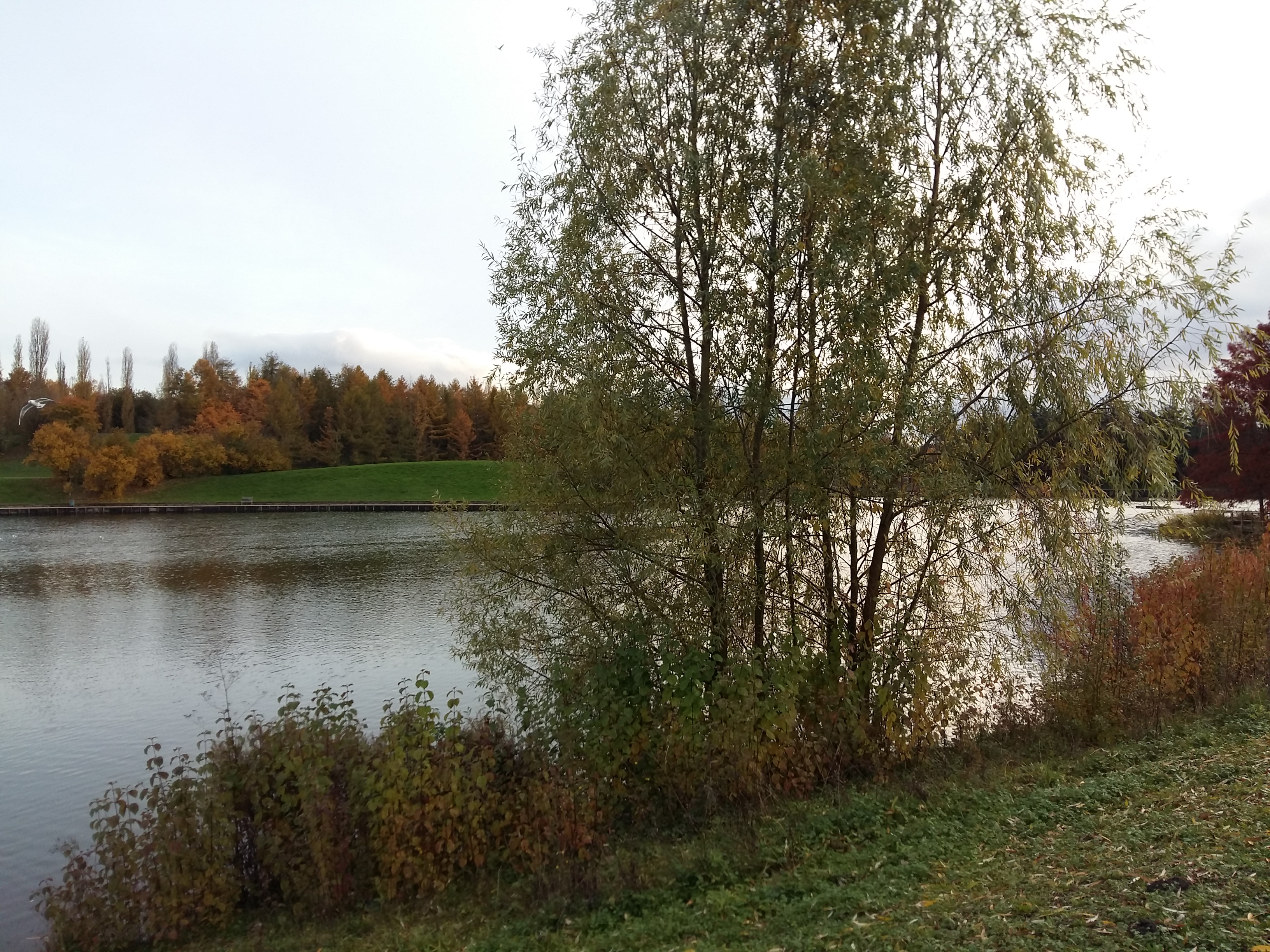 Photo n° 1 de l'avis de Nicole.u fait le 17/11/2019 à 18:17