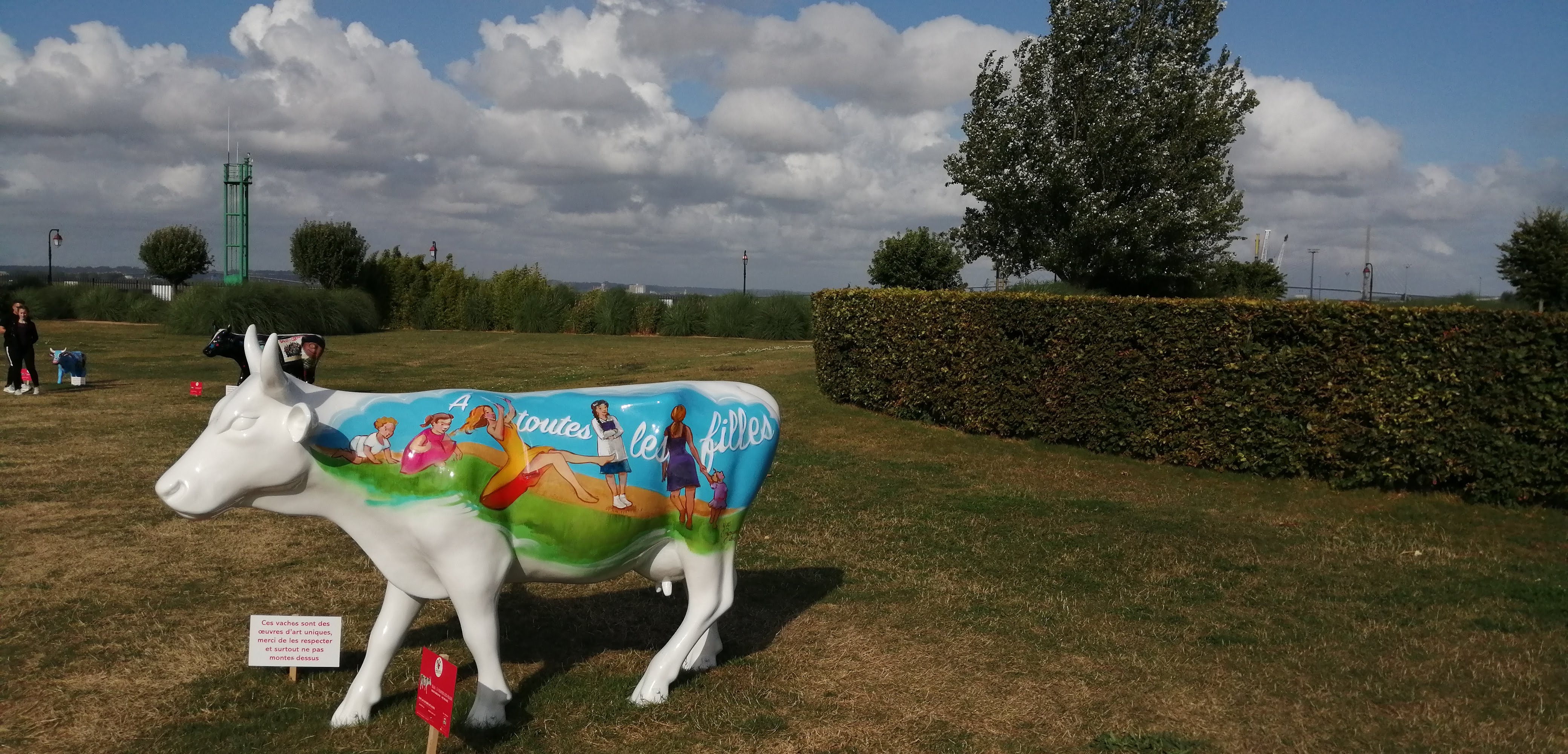 Photo n° 6 de l'avis de Michel.U fait le 04/09/2019 à 22:59
