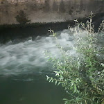 Photo n°8 de l'avis de Massimo.i fait le 12/09/2021 à 18:44 sur le  Osteria Pizzeria dell'Orologio à Isola del Liri