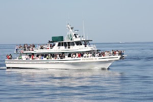 Cape Ann Whale Watch - photo 81