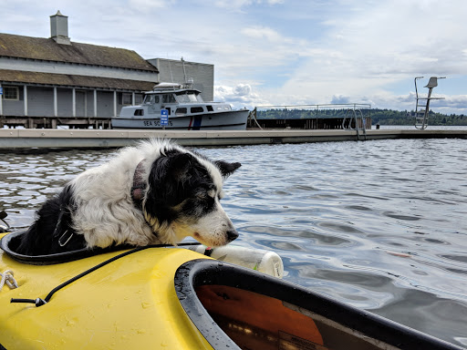 Park «Clyde Beach Park», reviews and photos, 2 92nd Ave NE, Bellevue, WA 98004, USA