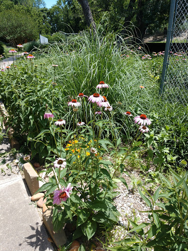 Zoo «Frank Buck Zoo», reviews and photos, 1000 W California St, Gainesville, TX 76240, USA