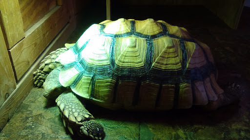 Pet Store «Pet Land», reviews and photos, 1450 Fort Campbell Blvd, Clarksville, TN 37042, USA