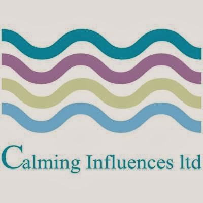 Comments and reviews of Calming Influences Ltd