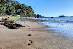 Caseys Beach'in fotoğrafı ve yerleşim