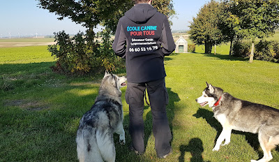 ÉCOLE CANINE POUR TOUS - Éducateur canin comportementaliste à Pleine-Selve