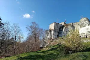 Bąkowiec Castle image