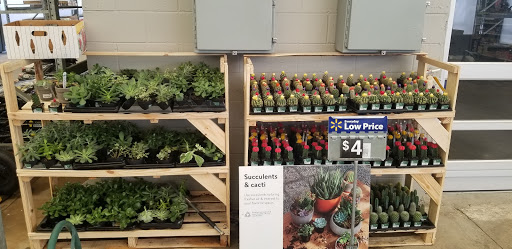 Department Store «Walmart Supercenter», reviews and photos, 101 Market Pl Blvd, Cartersville, GA 30121, USA