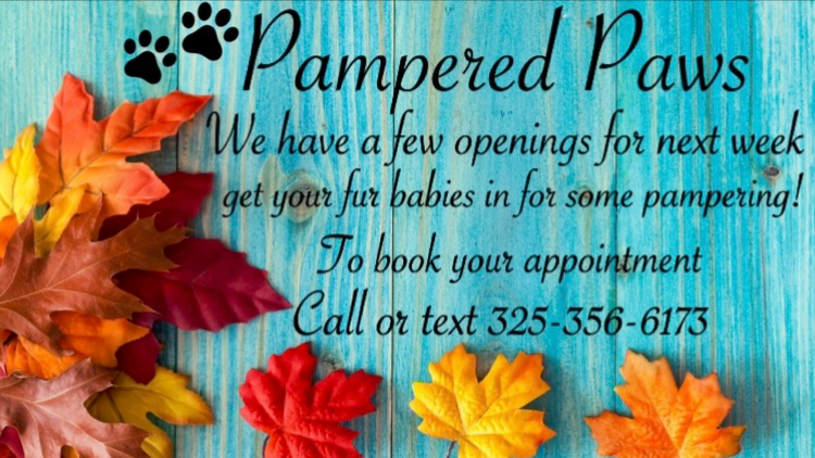 Pampered Paws Stephenville