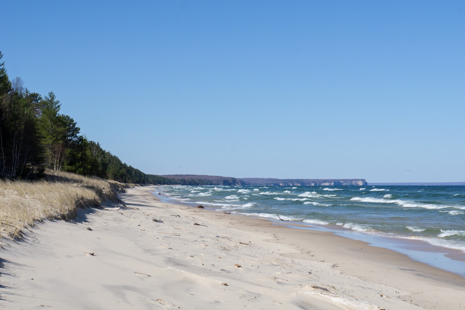 Foto di Twelvemile Beach - luogo popolare tra gli intenditori del relax