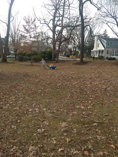 Auditorium «Lyon Park Community Center», reviews and photos, 414 N Fillmore St, Arlington, VA 22201, USA