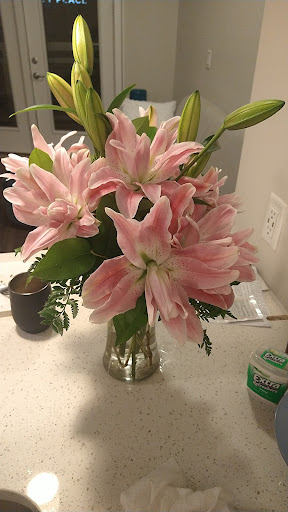 Florist «Chantilly Flowers», reviews and photos, 14514 Lee Rd E, Chantilly, VA 20151, USA