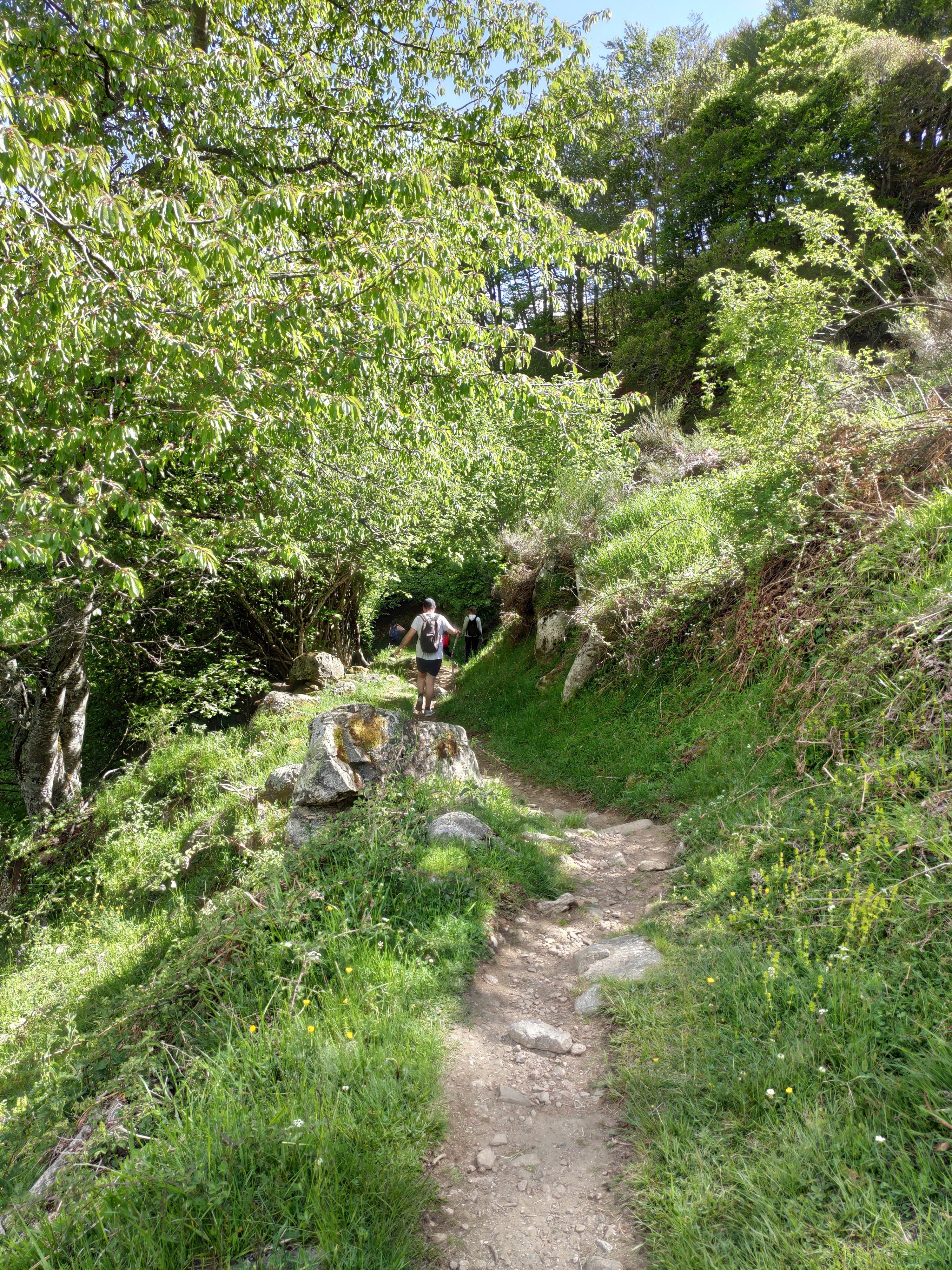 Photo n° 13 de l'avis de Florian.o fait le 04/06/2019 à 10:25