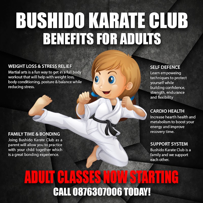 Bushido Karate Club Glanmire