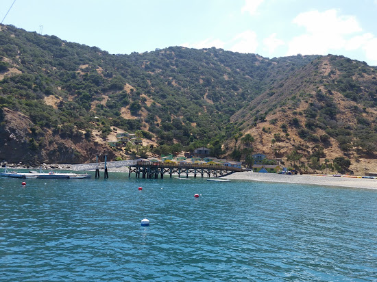 Button Shell Beach