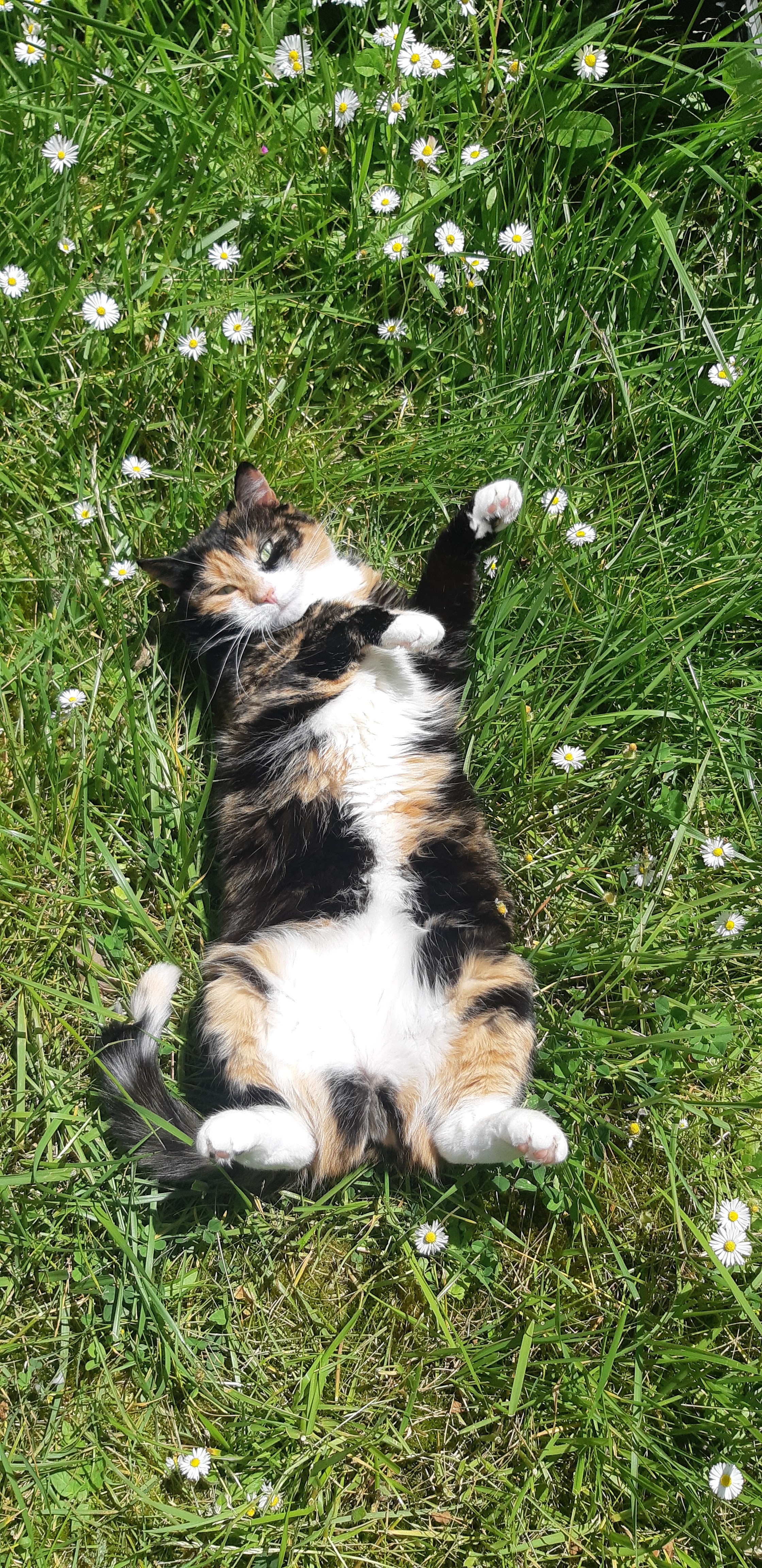 Photo n° 1 de l'avis de Sonalie.n fait le 21/06/2022 à 16:12