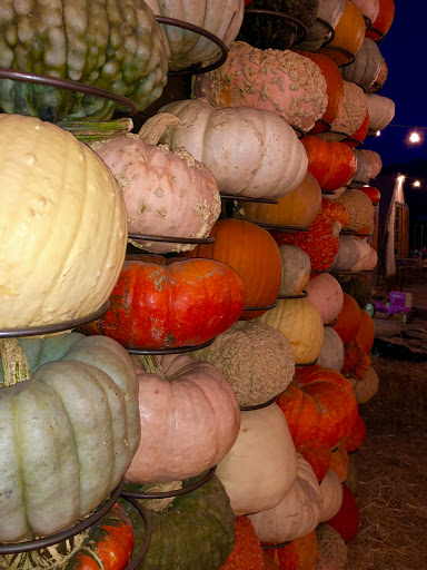 Produce Market «Kuwahara Farms», reviews and photos, 736 12300 S, Draper, UT 84020, USA