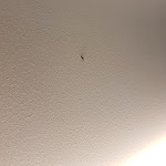 Photo n°3 de l'avis de tommaso.o fait le 13/11/2019 à 22:53 sur le  New iPoint Hotel à San Giovanni in Persiceto