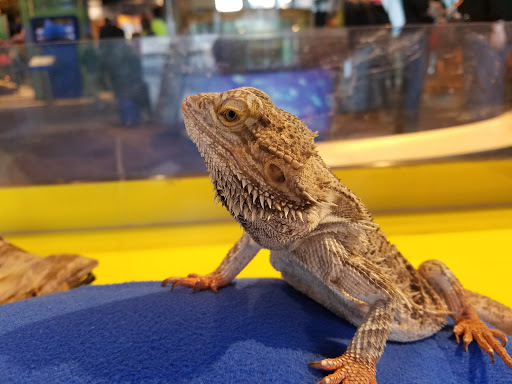 Science Museum «Connecticut Science Center», reviews and photos, 250 Columbus Blvd, Hartford, CT 06103, USA