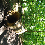 Photo n°9 de l'avis de Dirk.o fait le 26/07/2017 à 06:16 sur le  Barfußpark Lüneburger Heide in Egestorf à Egestorf