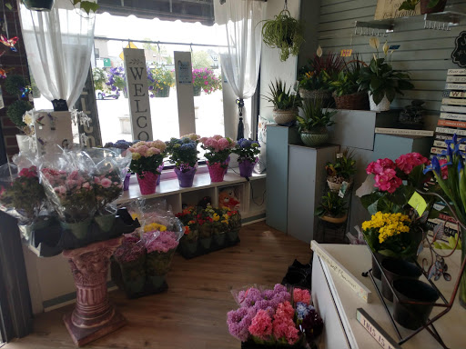 Florist «Lollipops & Roses Florist», reviews and photos, 450 Salem St, Medford, MA 02155, USA