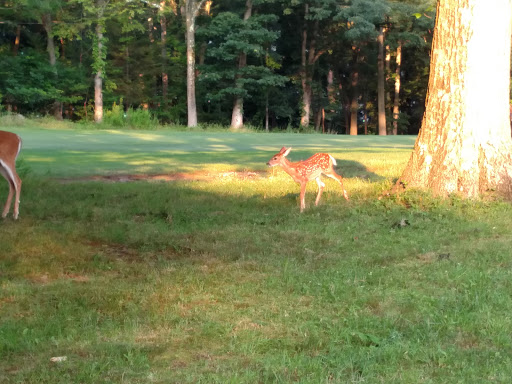 Golf Club «Darlington Golf Center», reviews and photos, 279 Campgaw Rd, Mahwah, NJ 07430, USA