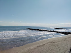 Playa Los Delfines'in fotoğrafı ve yerleşim