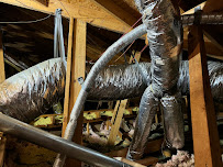 Green Leaf Air - Photo 2 - Car repair in , Allen