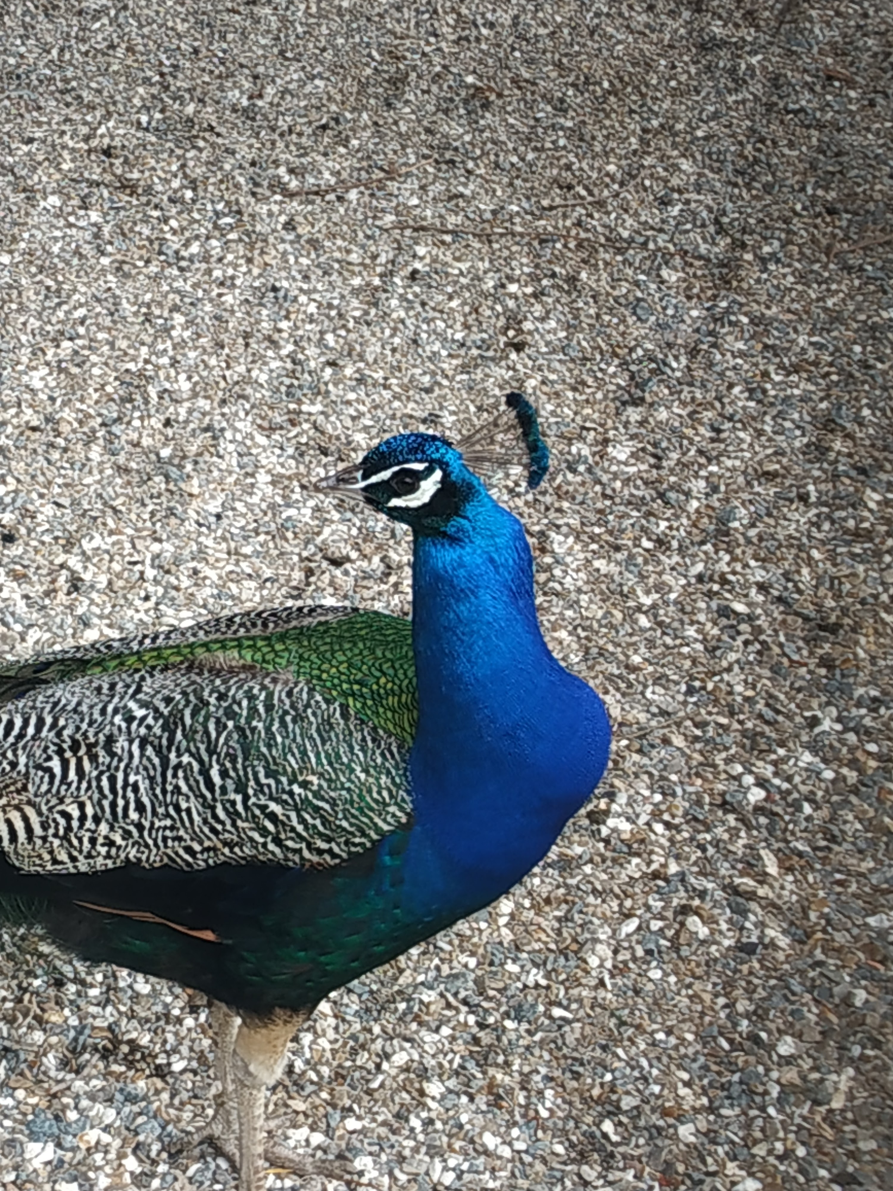 Photo n° 4 de l'avis de marie.l fait le 13/06/2023 à 20:22