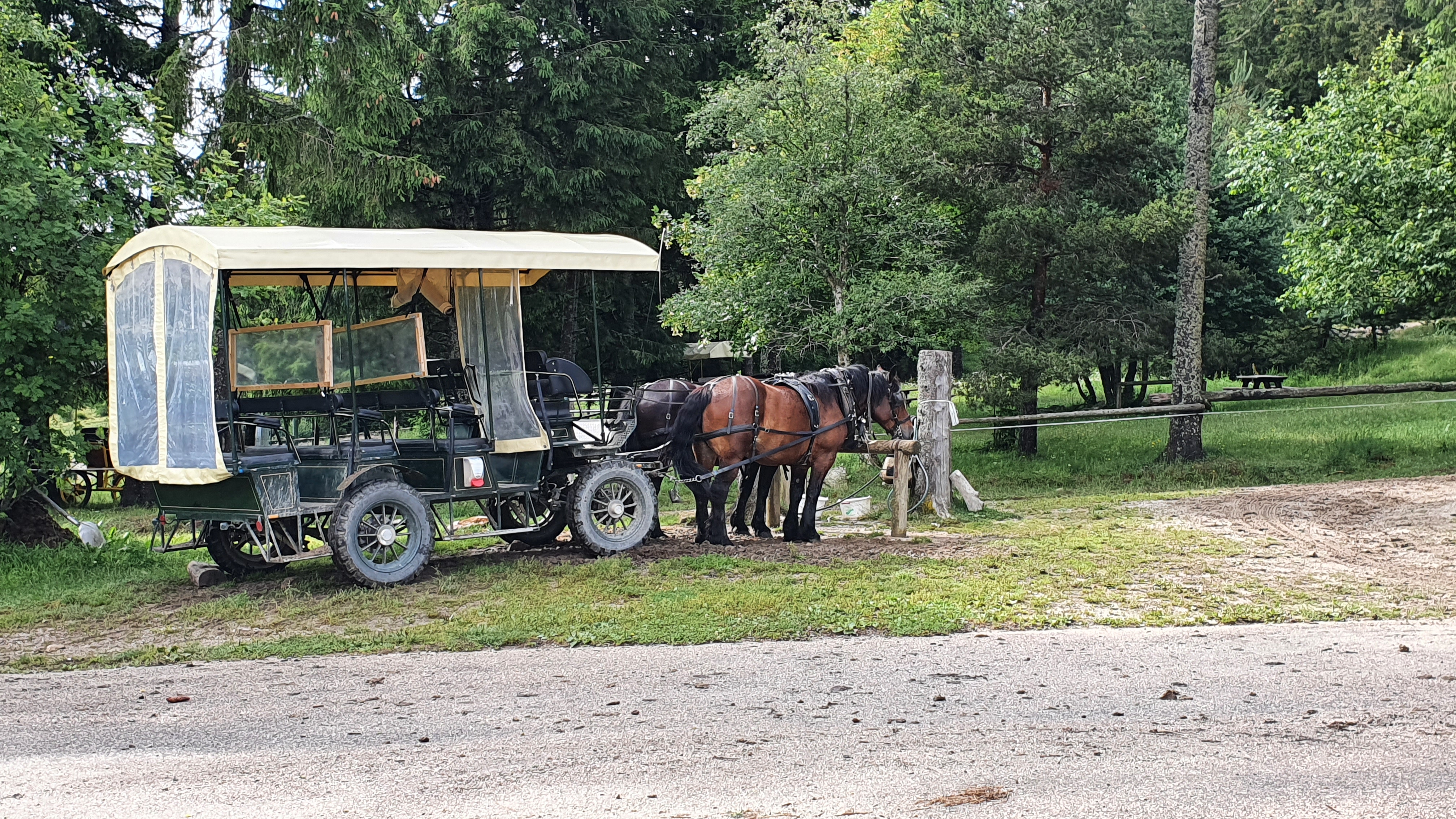 Photo n° 1 de l'avis de Laurence.a fait le 18/07/2021 à 14:38