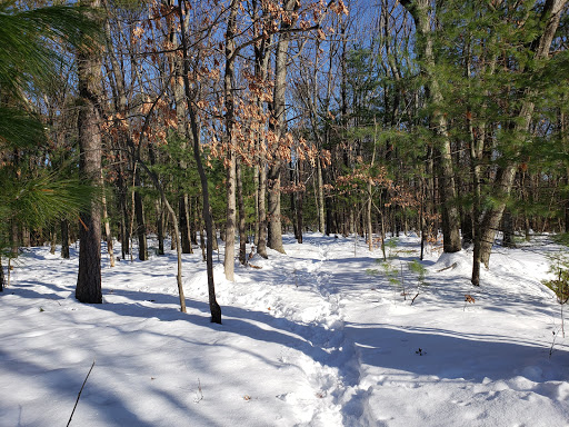 Park «Mary Cummings Park», reviews and photos, 25 Blanchard Rd, Burlington, MA 01803, USA