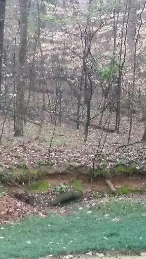 Home Improvement Store «The Home Depot», reviews and photos, 5950 State Bridge Rd, Duluth, GA 30097, USA