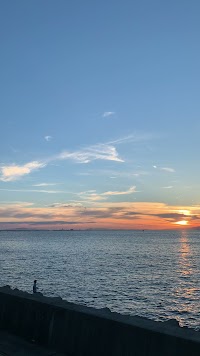二色浜パークタウン工業区公園緑地（二色南緑地）