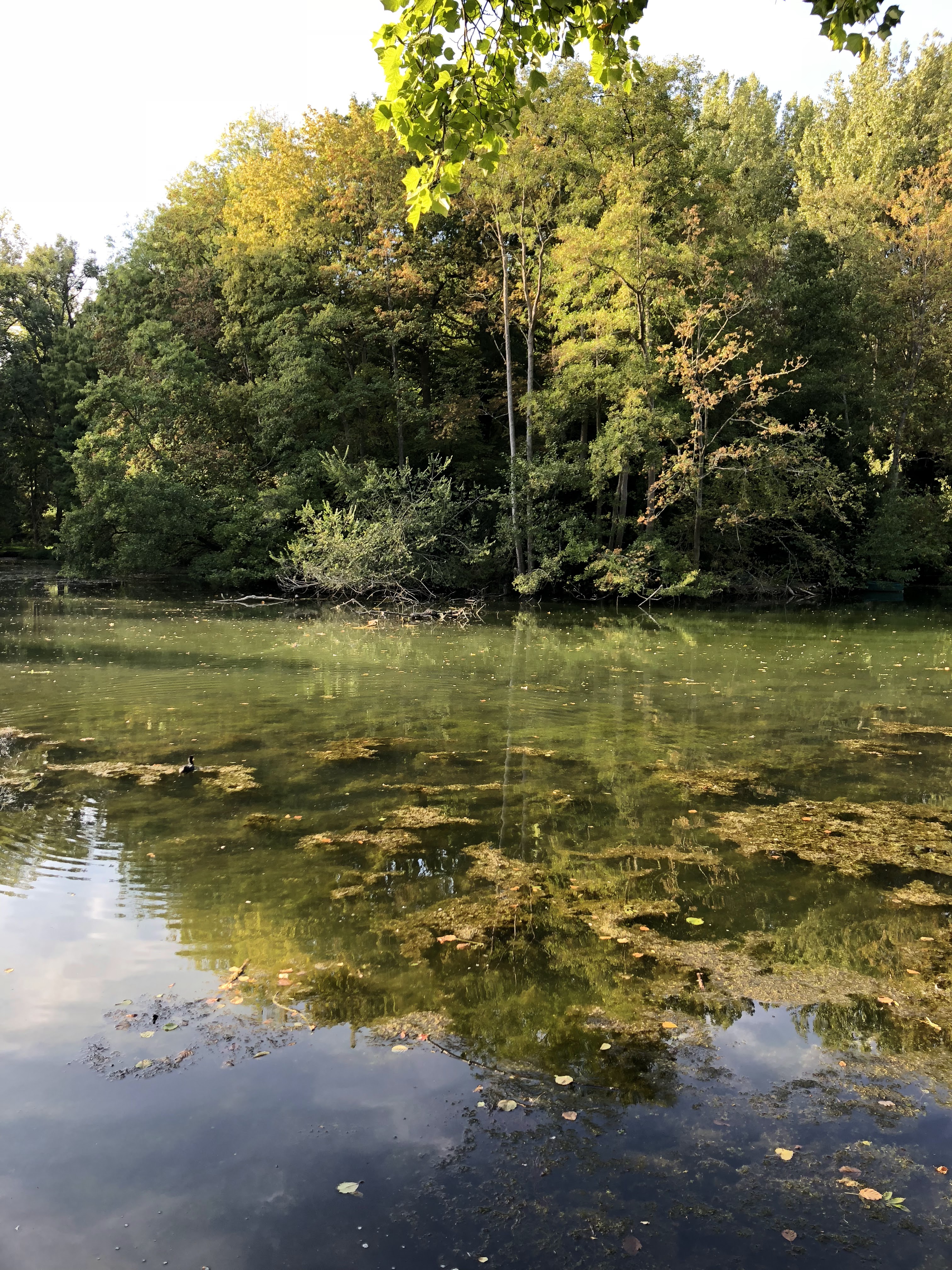 Photo n° 7 de l'avis de Mickael.e fait le 26/10/2018 à 05:07