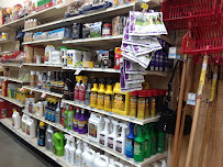 Tractor Supply Co. - Photo 7 - Car repair in Hesperia, CA, Victorville