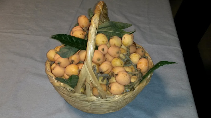 Plats et boissons Logement indépendant avec services Monte da Ribeira - Agroturismo 8005-414 Estoi